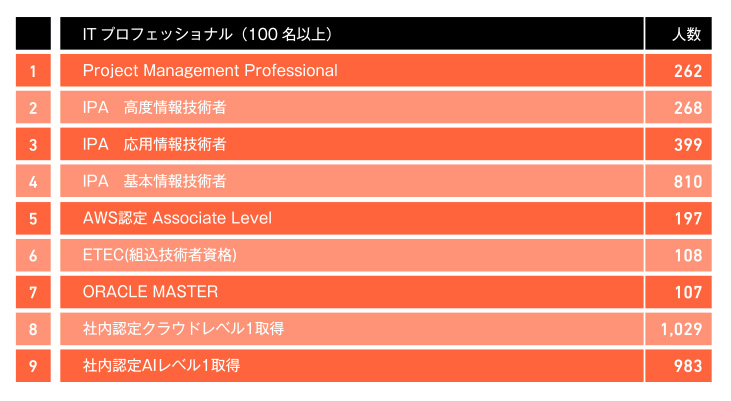 ITプロフェッショナル（100名以上）